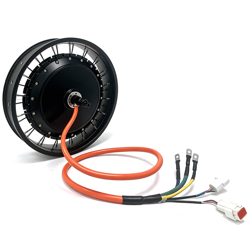 NBpower/QS 273 40H 48-96V 정격 7 - Qs Motor 273 8000W Hub Motor 리뷰 및 가격