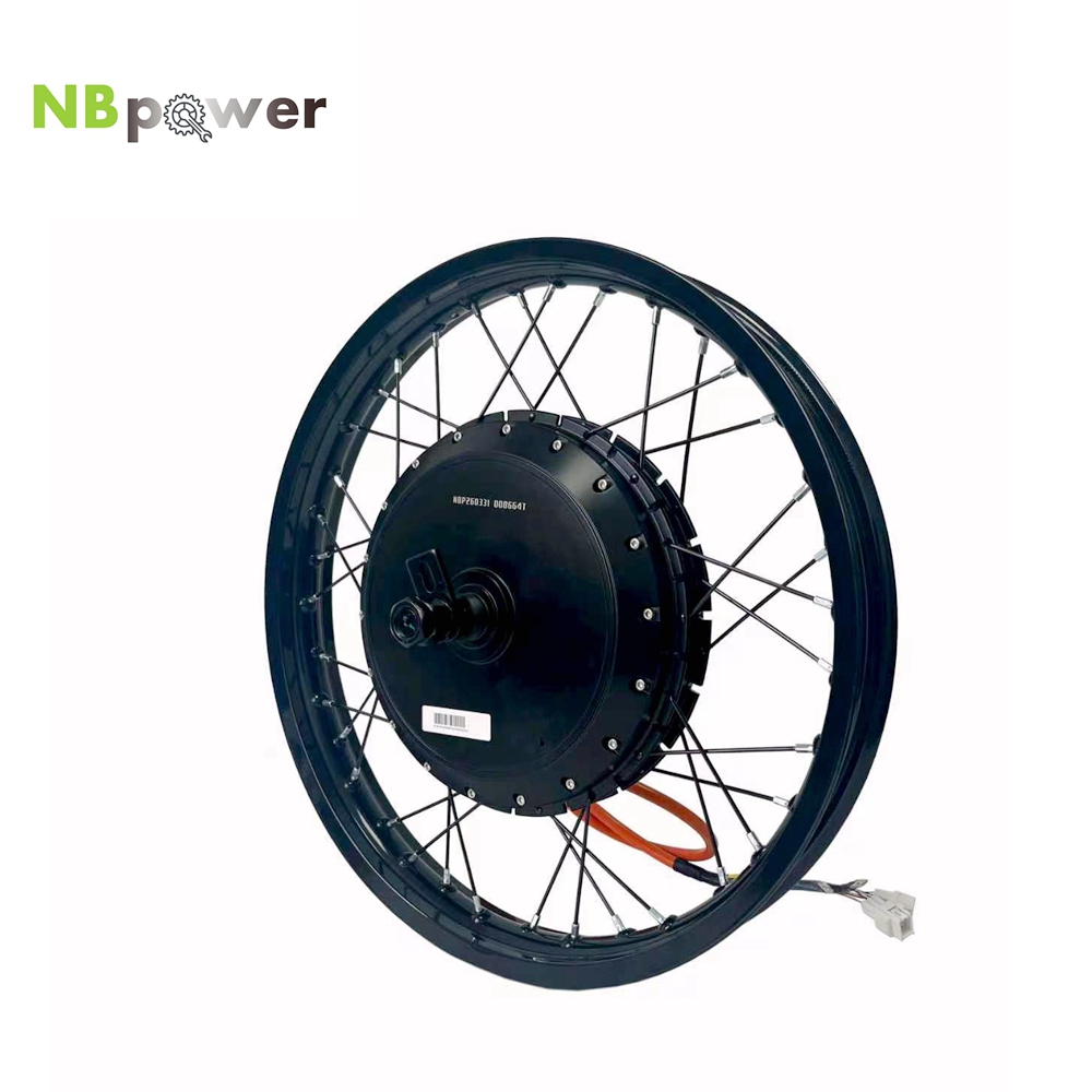 NBpower/170mm 드롭아웃 QS 273 40H  - Qs Motor 273 8000W Hub Motor 리뷰 및 가격