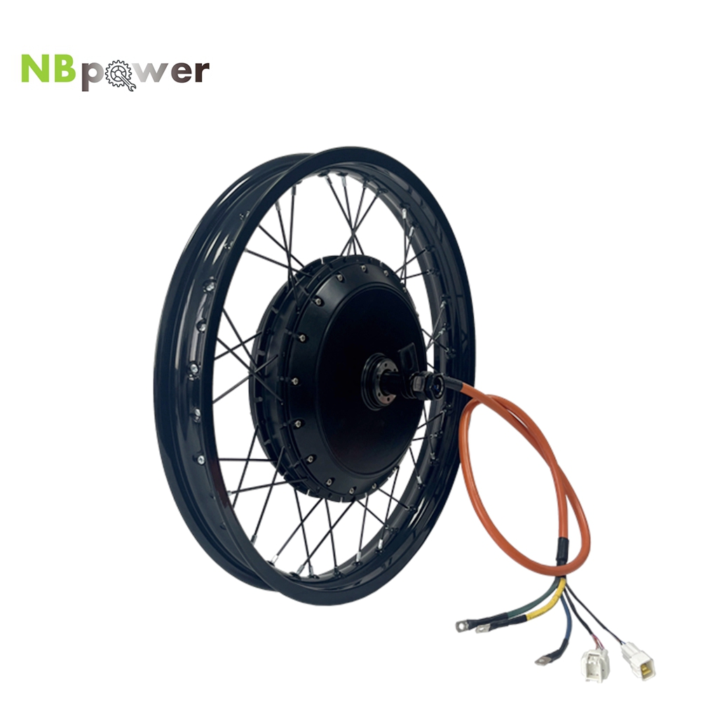 NBpower/170mm 드롭아웃 QS 273 40H  - Qs Motor 273 8000W Hub Motor 리뷰 및 가격