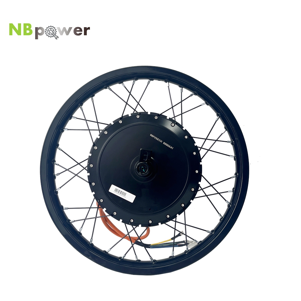NBpower/170mm 드롭아웃 QS 273 40H  - Qs Motor 273 8000W Hub Motor 리뷰 및 가격